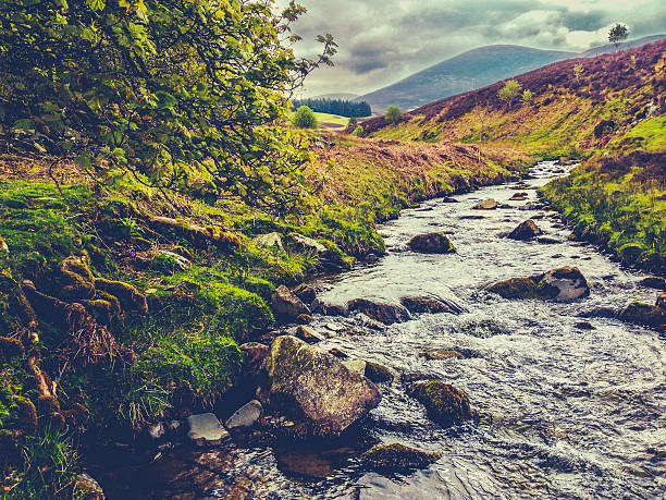 istock Wild Scotland River Landscape 540987860
