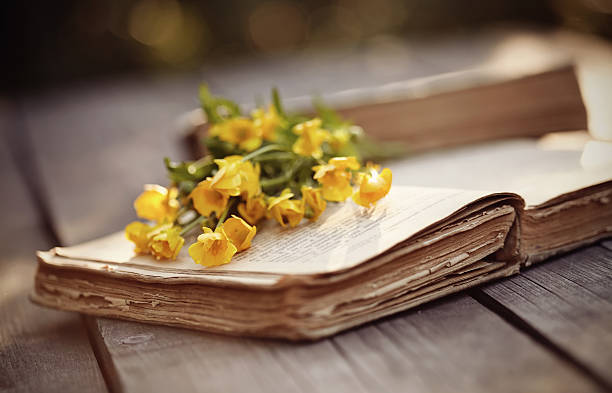 istock Old open book and yellow buttercups 540990326