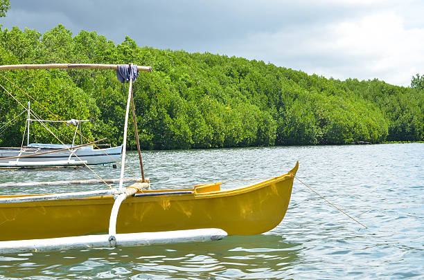 две деревянные рыбацкие лодки - nautical vessel philippines mindanao palawan стоковые фото и изображения