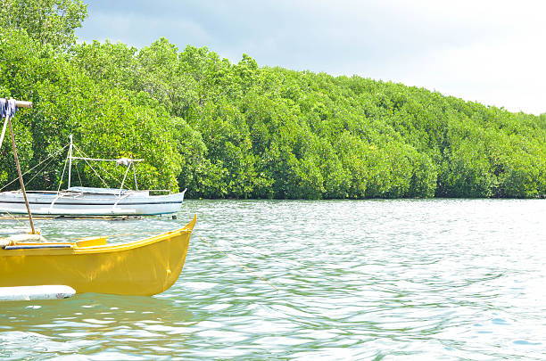 piccole barche da pesca nella foto filippine - nautical vessel philippines mindanao palawan foto e immagini stock