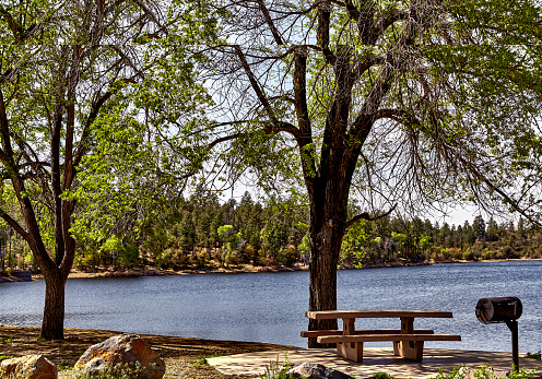 Picnic table with barbeque, two oak trees by the lake with pine trees in the background