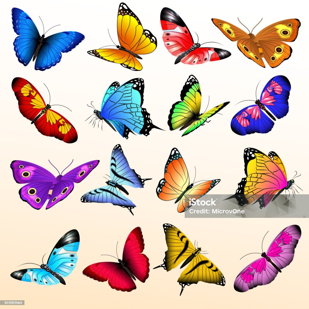 Colorful realistic butterflies big vector set Colorful realistic butterflies big vector set. Butterfly with color pattern on wing, summer butterfly of illustration Butterfly - Insect stock vector