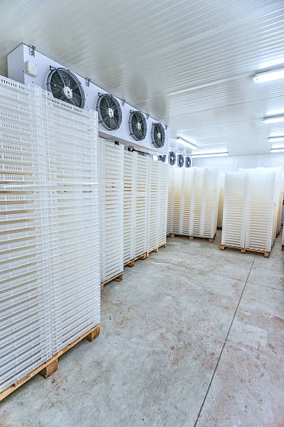 istock Inside of Big Industrial Refrigerator Storage at -30 Celcius 541002508