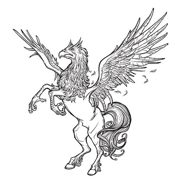 Vector illustration of Hippogriff or Hippogryph supernatural beast. Sketch on a white background