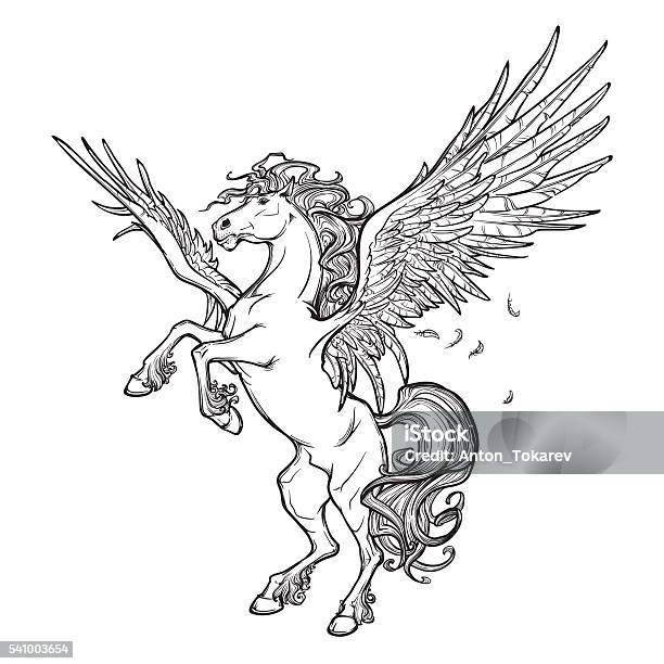 Pegasus Supernatural Beast Sketch Isolated On White Background Stock Illustration - Download Image Now
