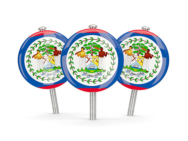 Flag of belize, round pins on white. 3D illustration