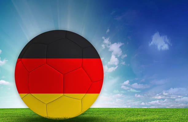 istock Soccer ball in nature with Germany flag 541006270