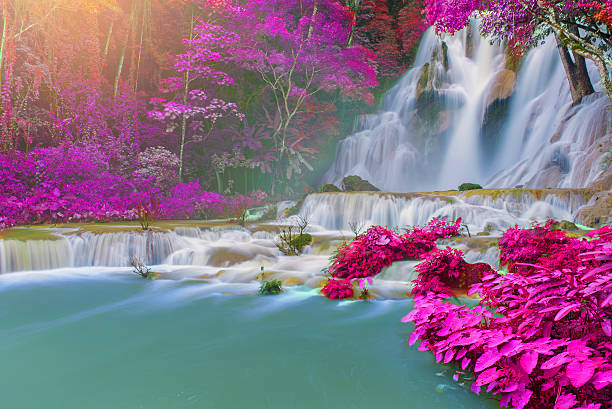 Kuangsi  waterfall in deep forest in Luang Prabang, Laos