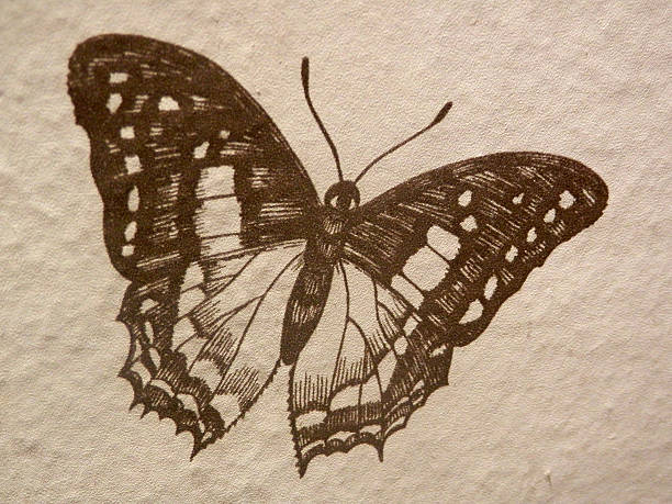 istock Drawing of a butterfly 541111374