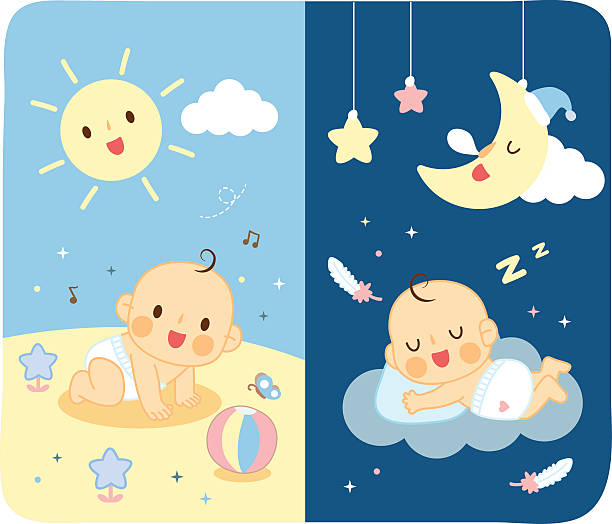 illustrations, cliparts, dessins animés et icônes de couches pour bébés jour et nuit - illustration an vector art