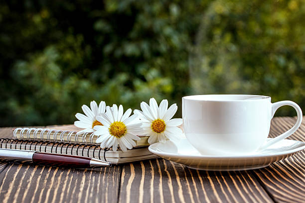 istock blank white notebook, pen and cup of coffee 541111772
