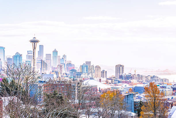 paisaje urbano de seattle con nieve cubierta. - winter scape fotografías e imágenes de stock