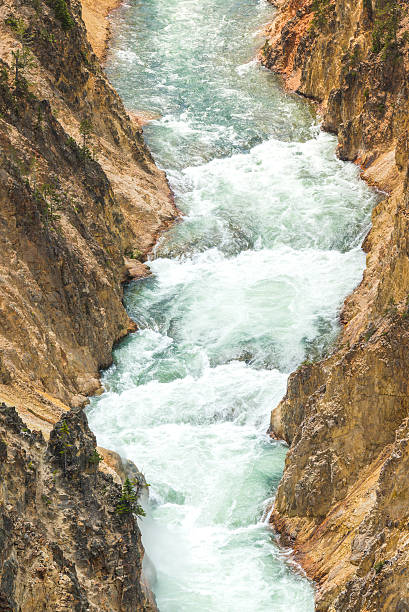 istock upper falls in yellow stone Yellowstone National park. 541114730