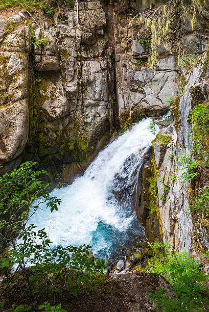 istock water fall in Cristian fall area,scene in mt.Rainier. 541115640