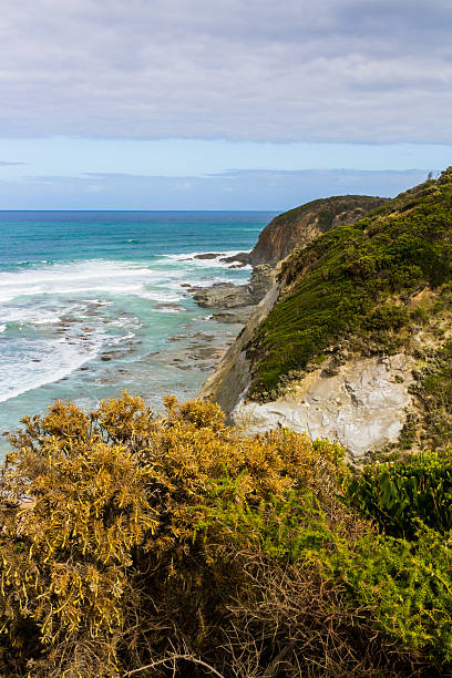 istock Coast at the Great Ocean Road, VIC Australia 541115686