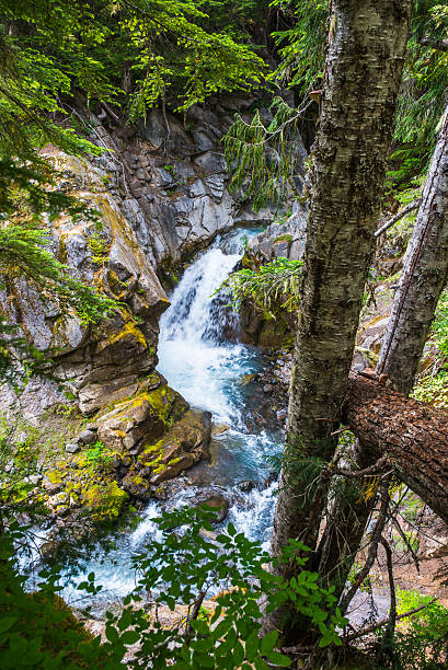 istock water fall in Cristian fall area,scene in mt.Rainier np. 541115688