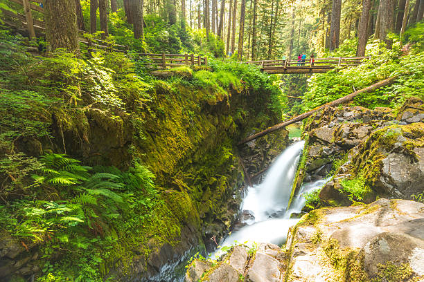 istock Sol duc  water falls area  in mt Olympic np. 541115766