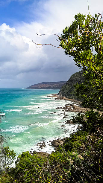 istock Coast at the Great Ocean Road, VIC Australia 541115946