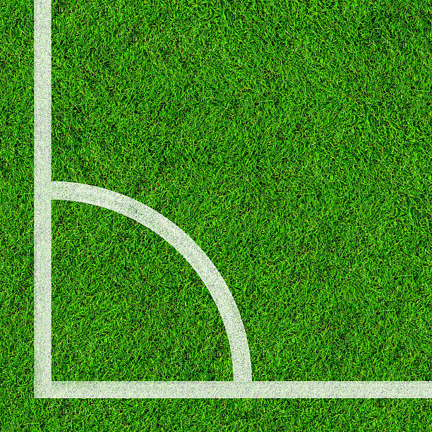 istock Corner of soccer field 541117316