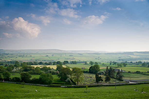 yorkshire krajobraz na lato - wensleydale blue zdjęcia i obrazy z banku zdjęć