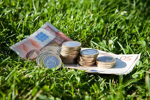 Photo of Euro money on grass