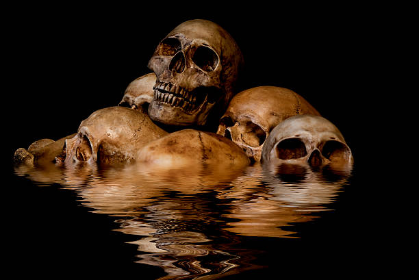 水の反射を伴う頭蓋骨と骨の山 - great flood ストックフォトと画像