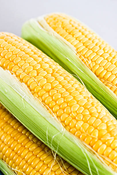 옥수수 수직 클로즈업 - corn on the cob macro corn crop freshness 뉴스 사진 이미지
