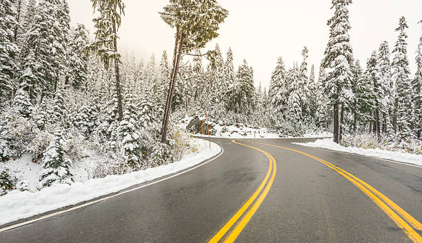istock the road in the forest with snow covered. 541123846