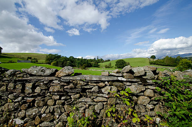 istock Stone wall, Lake district, United Kingdom 541124806