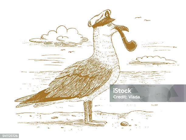 Seagull Captain Drawn By Hand Stock Illustration - Download Image Now - Drawing - Activity, Seagull, Animal