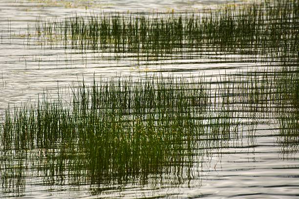 istock Lake Rascino, Italy 541127146