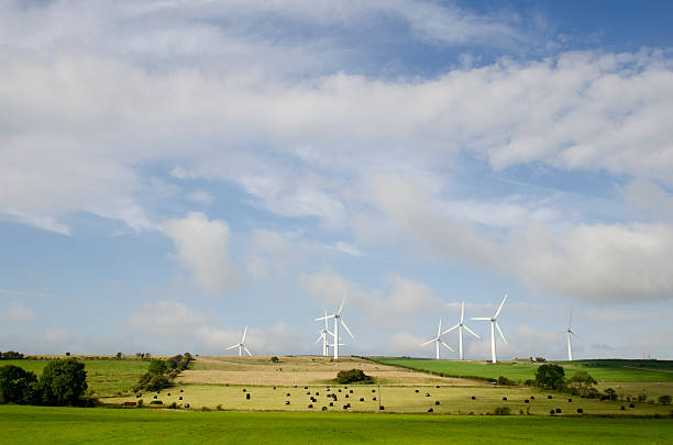 istock Wind turnbine in a grassy field, United Kingdom 541127160