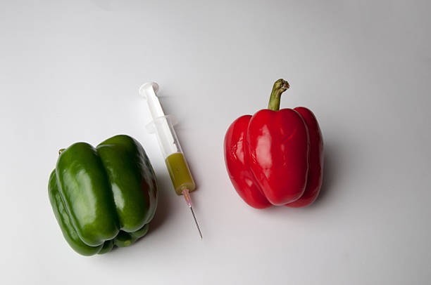 Green and reed pepper with syringe. GMO Green and reed pepper with syringe. GMO genetic modification change improvement science stock pictures, royalty-free photos & images