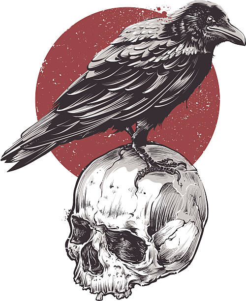 Raven On Skull Stock Illustration - Download Image Now - Raven - Bird, Crow  - Bird, Vector - iStock