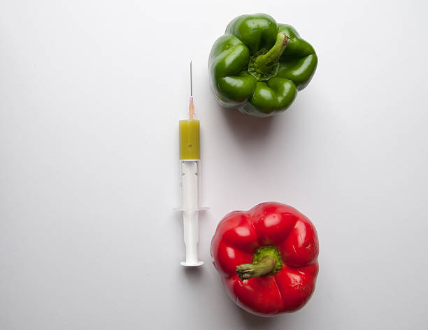 Green and reed pepper with syringe. GMO Green and reed pepper with syringe. GMO genetic modification change improvement science stock pictures, royalty-free photos & images