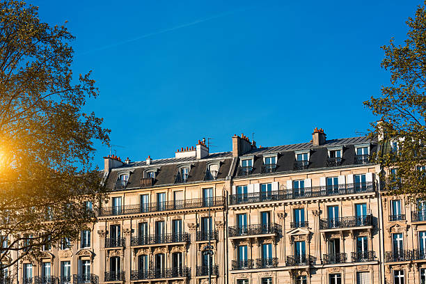 istock Paris City Apartments 541128370