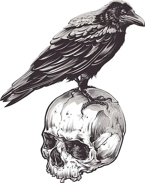 Vector illustration of Crow on Skull