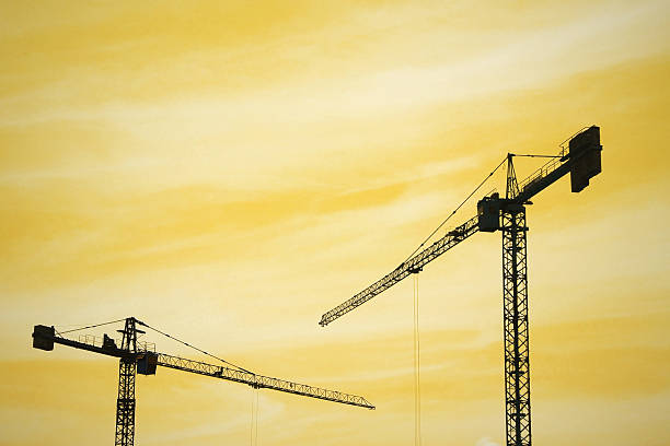 istock silhouette crane at the sunset time 541129924