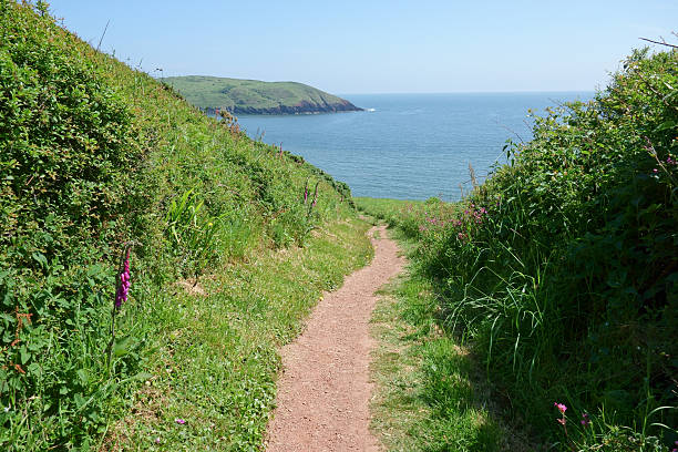 istock Footpath on Pembrokeshire coastal path. 541131492