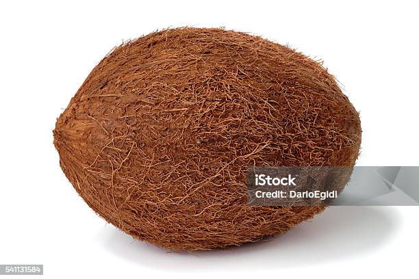 Coconut Closed On A White Background Stock Photo - Download Image Now - Sphere, White Background, Closed