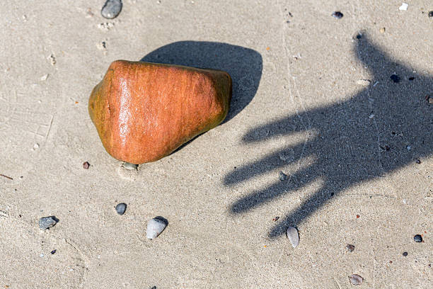 shadow of a hand and wet pebble at the beach