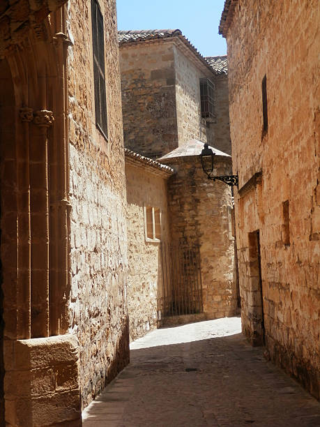 istock Narrow street in Baeza 541137906