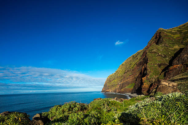 istock Madeira coast - cliffs on the Portuguese island. 541139290