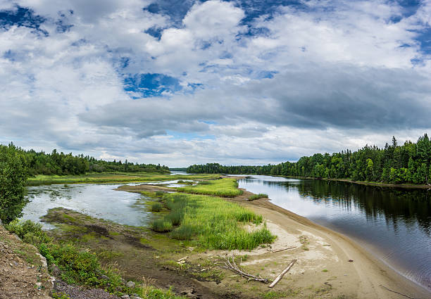 kouchibouguac 국립공원 웻랜드 - saltwater flats coastal feature landscape national park 뉴스 사진 이미지