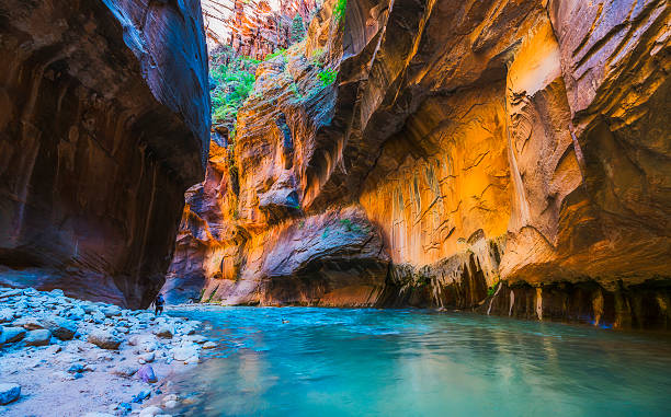 étroit avec la rivière vergin dans le parc national de zion, utah, états-unis. - canyon photos et images de collection