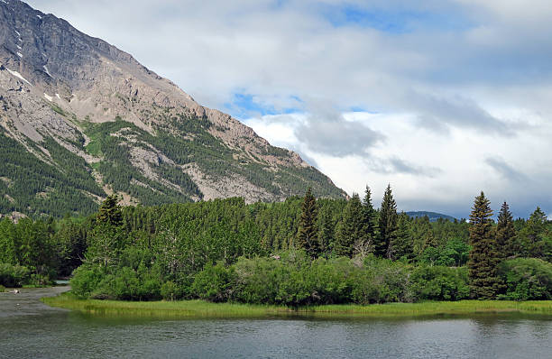 istock Headwaters to the  Crowsnest River- Rocky Mountains - June, Alberta 541139924