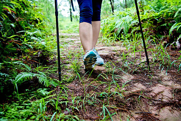 istock Woman legs hiking in the forest 541140566