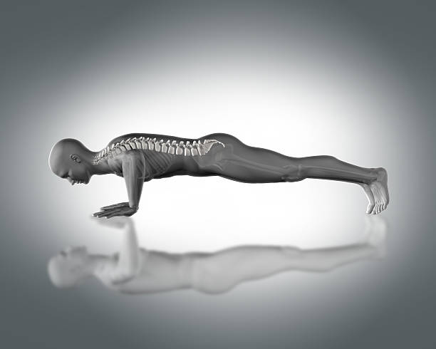 istock 3D medical figure in push up position 541141360