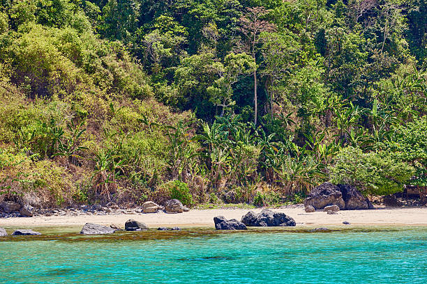 istock Nacapan beach Palawan Philippines 541141770