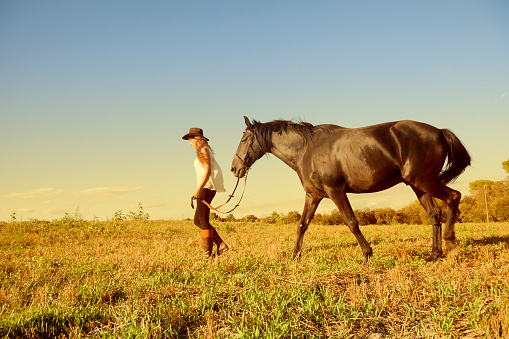 Outdoors portrait, girl and horse, at a green meadow.